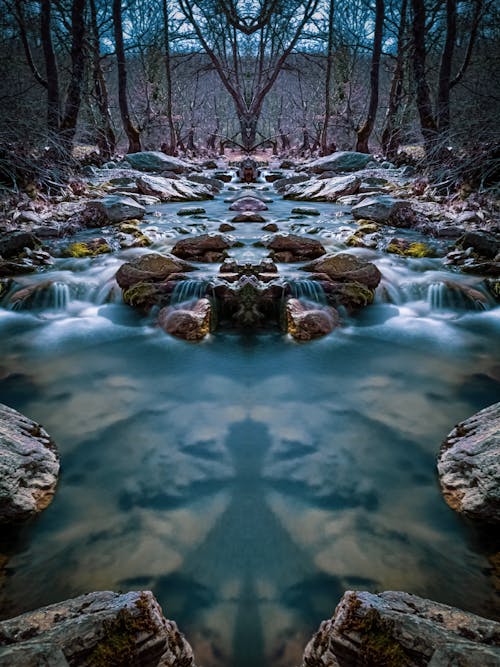 Free stock photo of creek, fairytale, forest