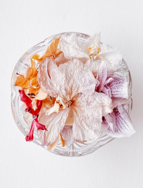 Petals in Bowl