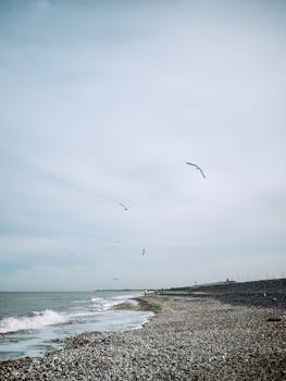 Tranquil pebble beach scene with seagulls soaring in the sky on a calm day.