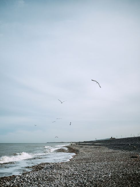 Tranquil pebble beach scene with seagulls soaring in the sky on a calm day.