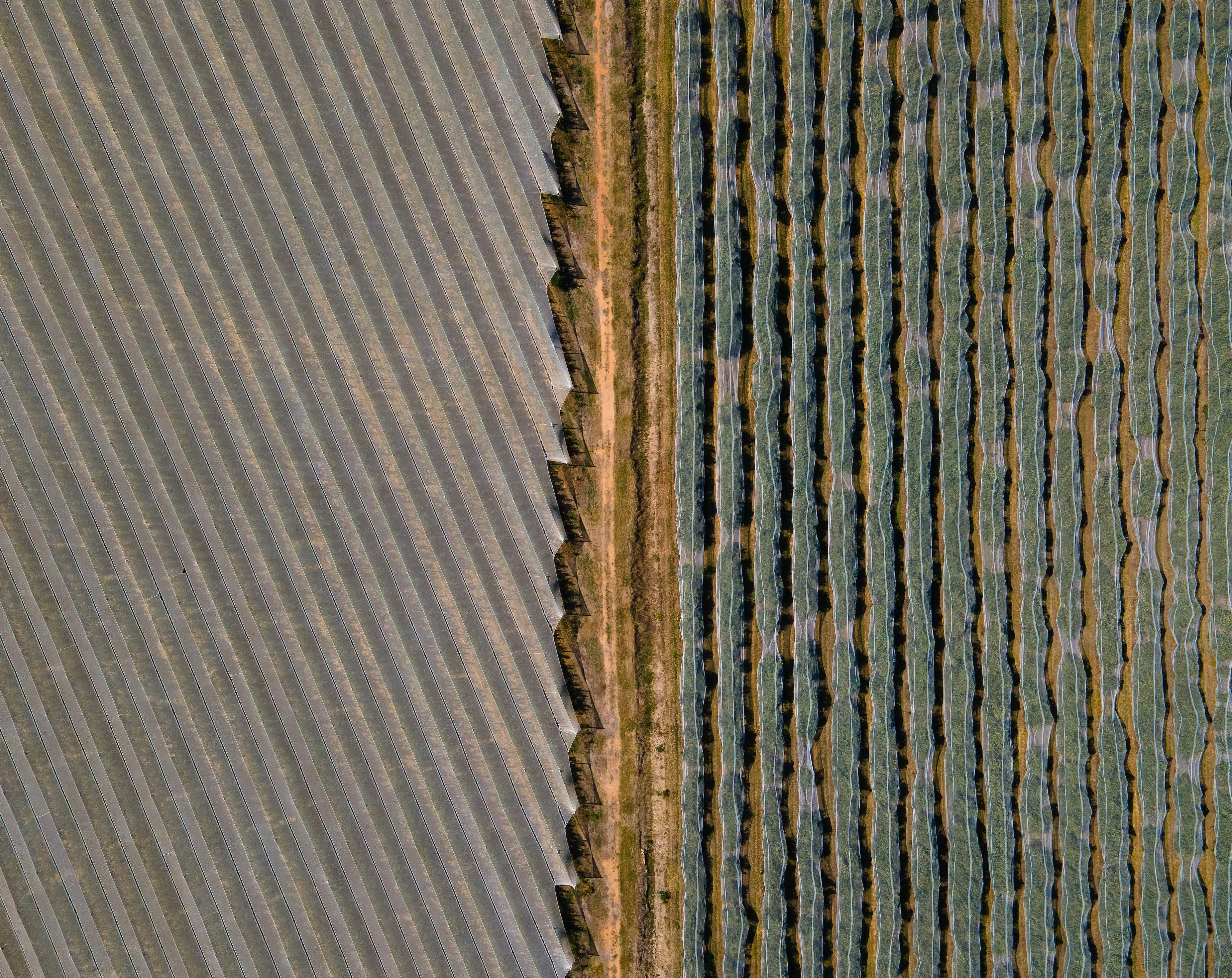 High-angle aerial view of farmland with distinct dirt road division, showcasing unique patterns in Krakeel River, South Africa.
