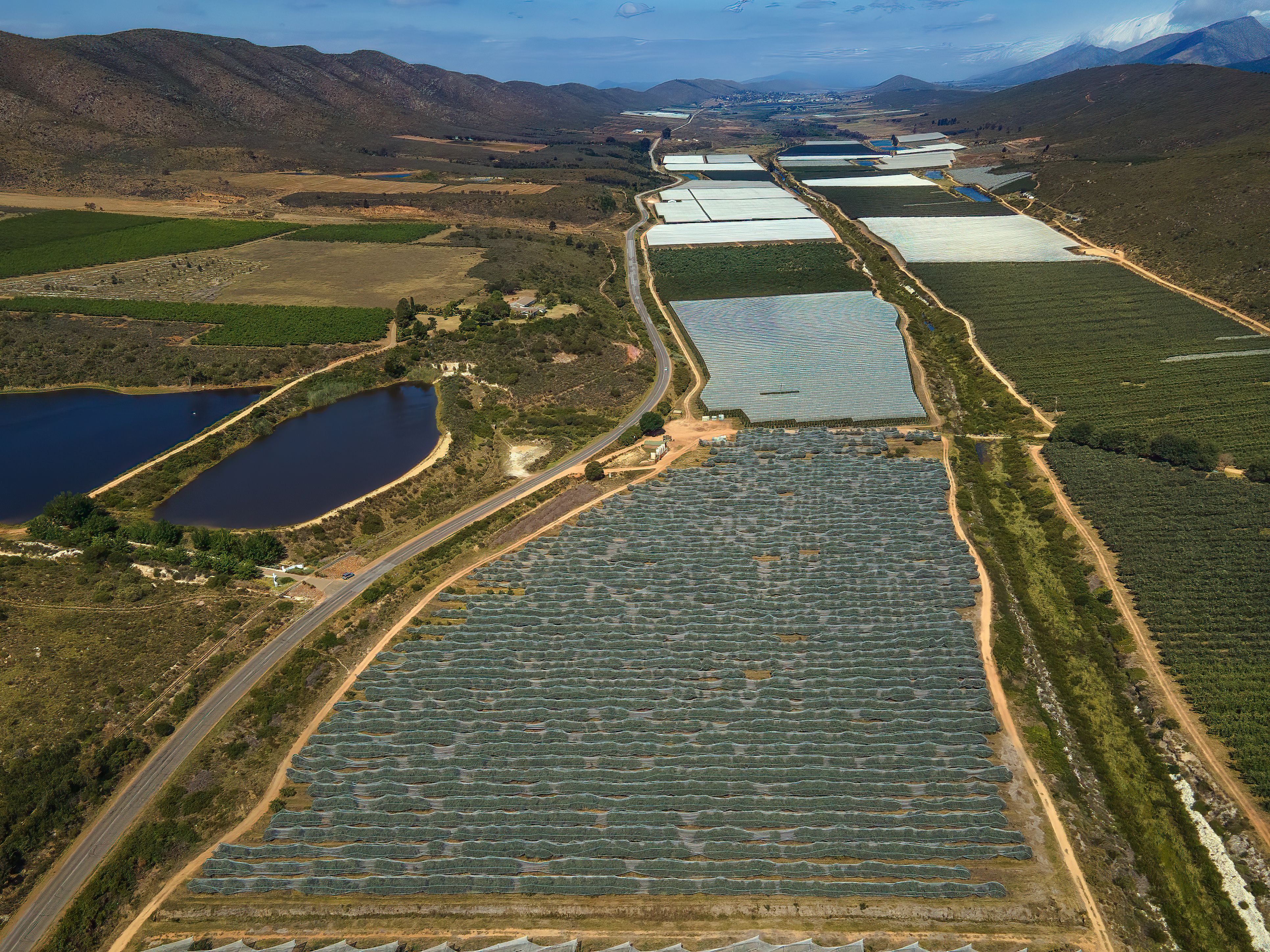 Les dômes de granit de Paarl Rock dominant les vignes et la vallée de la Berg River