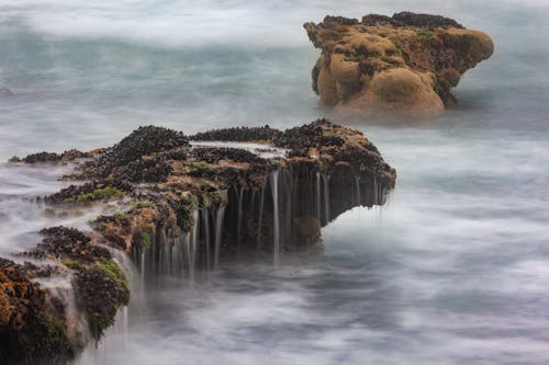 Free stock photo of dreamy, fog, hazy