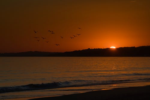 Free stock photo of beach sunset