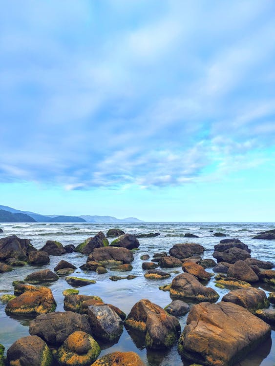 地平線 垂直拍攝 壁紙 多雲的天空 天性 岩石 岩石的 岸邊 戲劇化 招手 海 海洋 海灘 漂亮 環境 生苔的 美景 背景 自然攝影 苔蘚 電影 風景如畫的免費圖庫相片