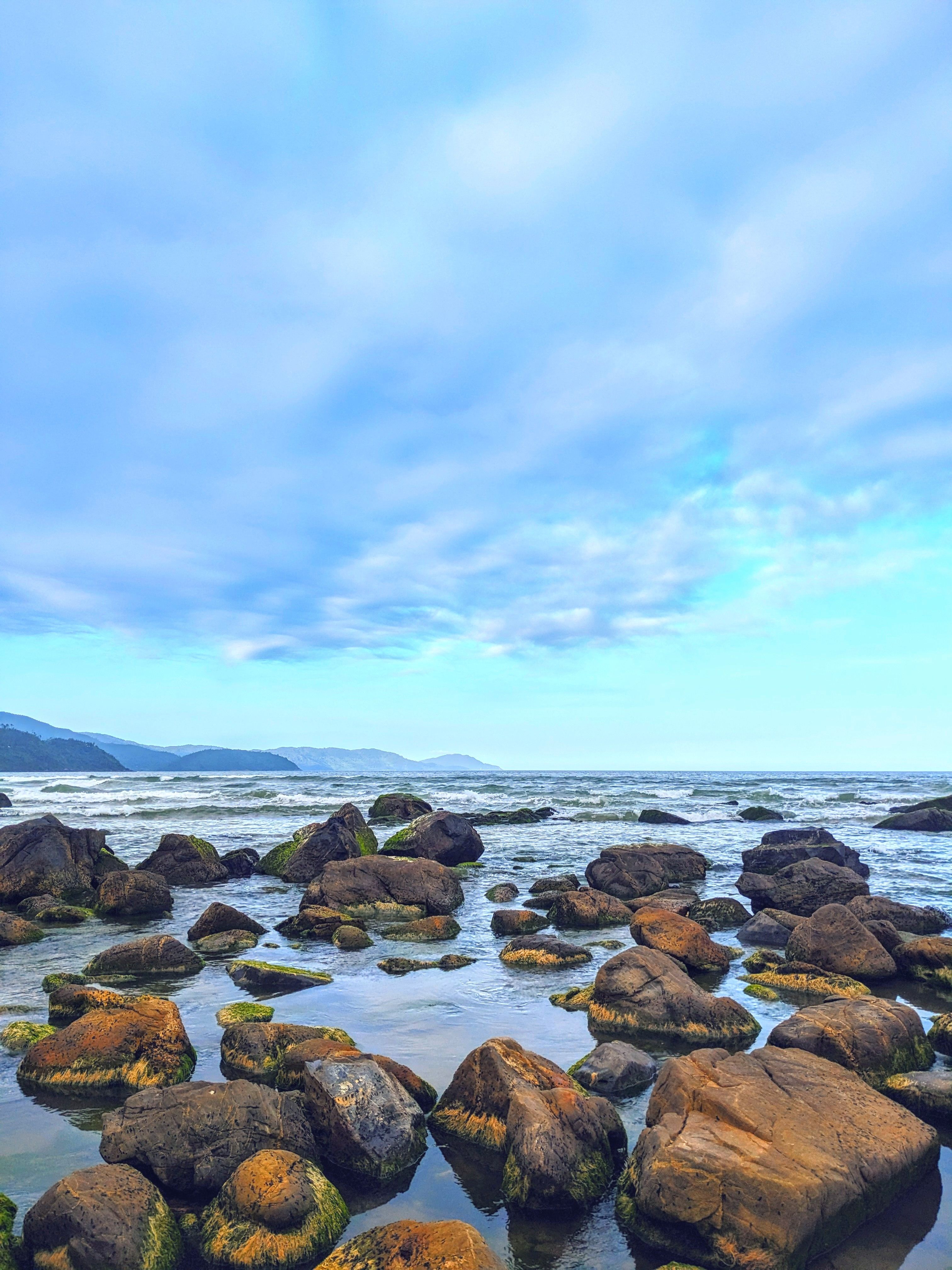 Mossy Rocks on Shore · Free Stock Photo