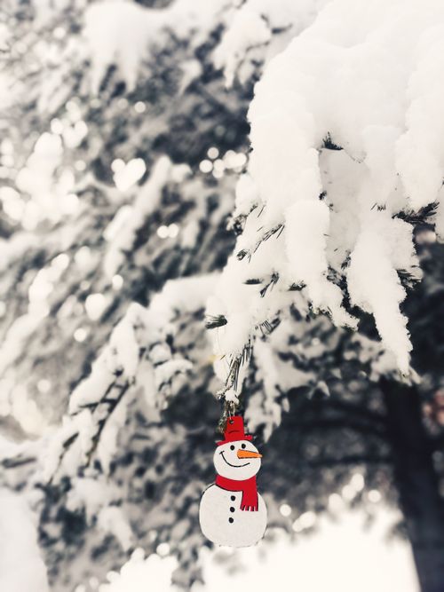 Free A snowman ornament hanging on a snow-covered tree branch, capturing the essence of winter. Stock Photo