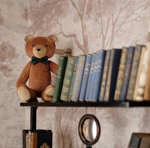 Kostnadsfria Kostnadsfri bild av björn, böcker, bokhylla Stock foto