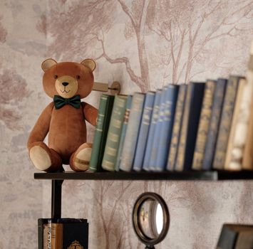 A Bear on the Bookshelf