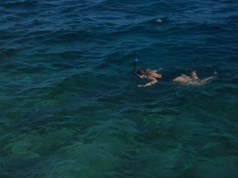 Snorkelling, Surfing & Dolphin Bay