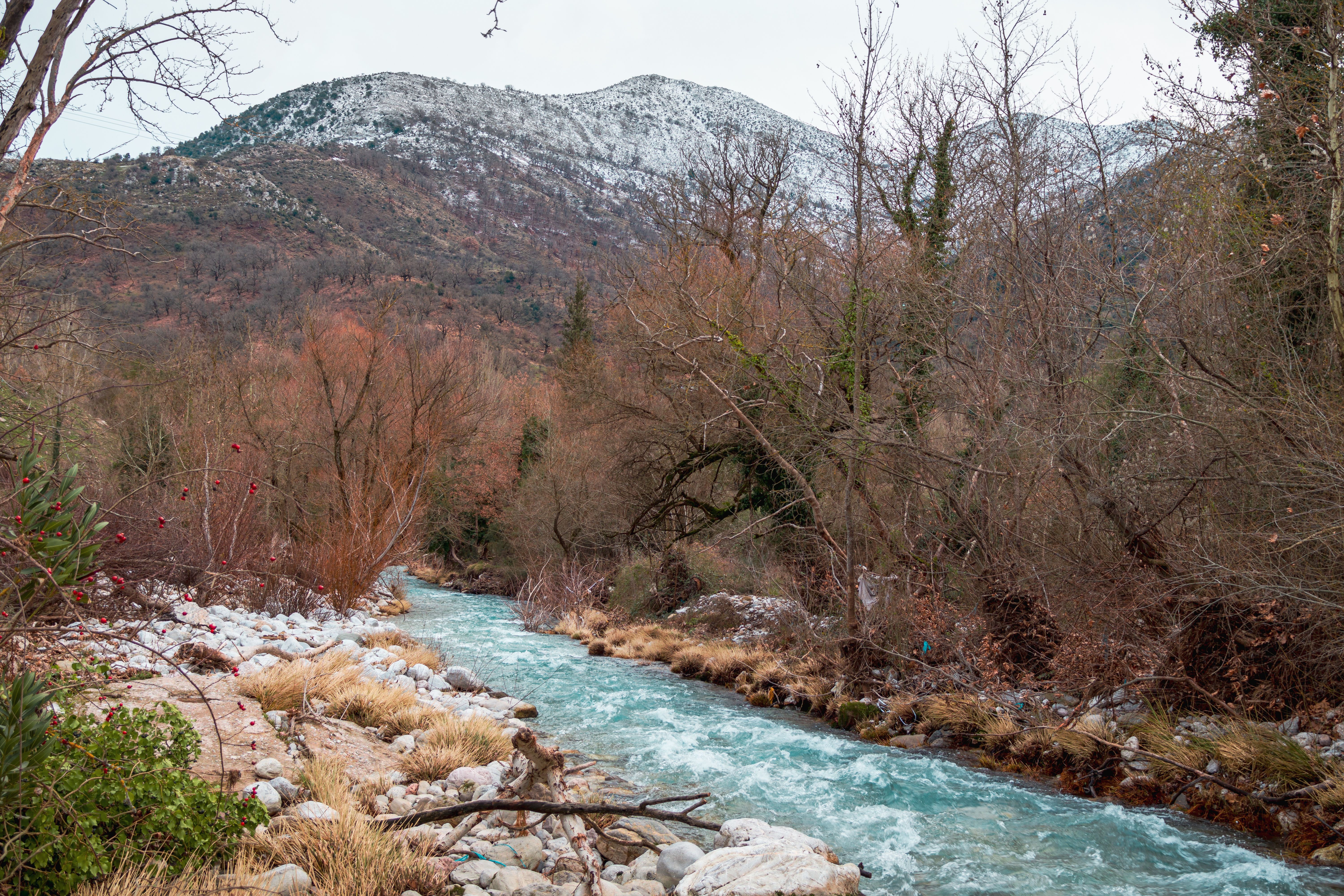 Loutra Pozar, Pella · φωτογραφία περιοχής 1