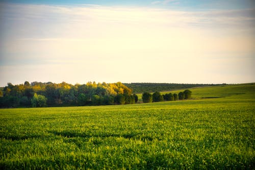 Clouds over Grassland