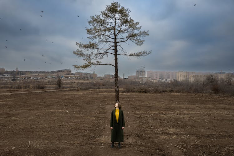 Woman In Coat Standing On Wasteland With Single Tree And With Town Behind