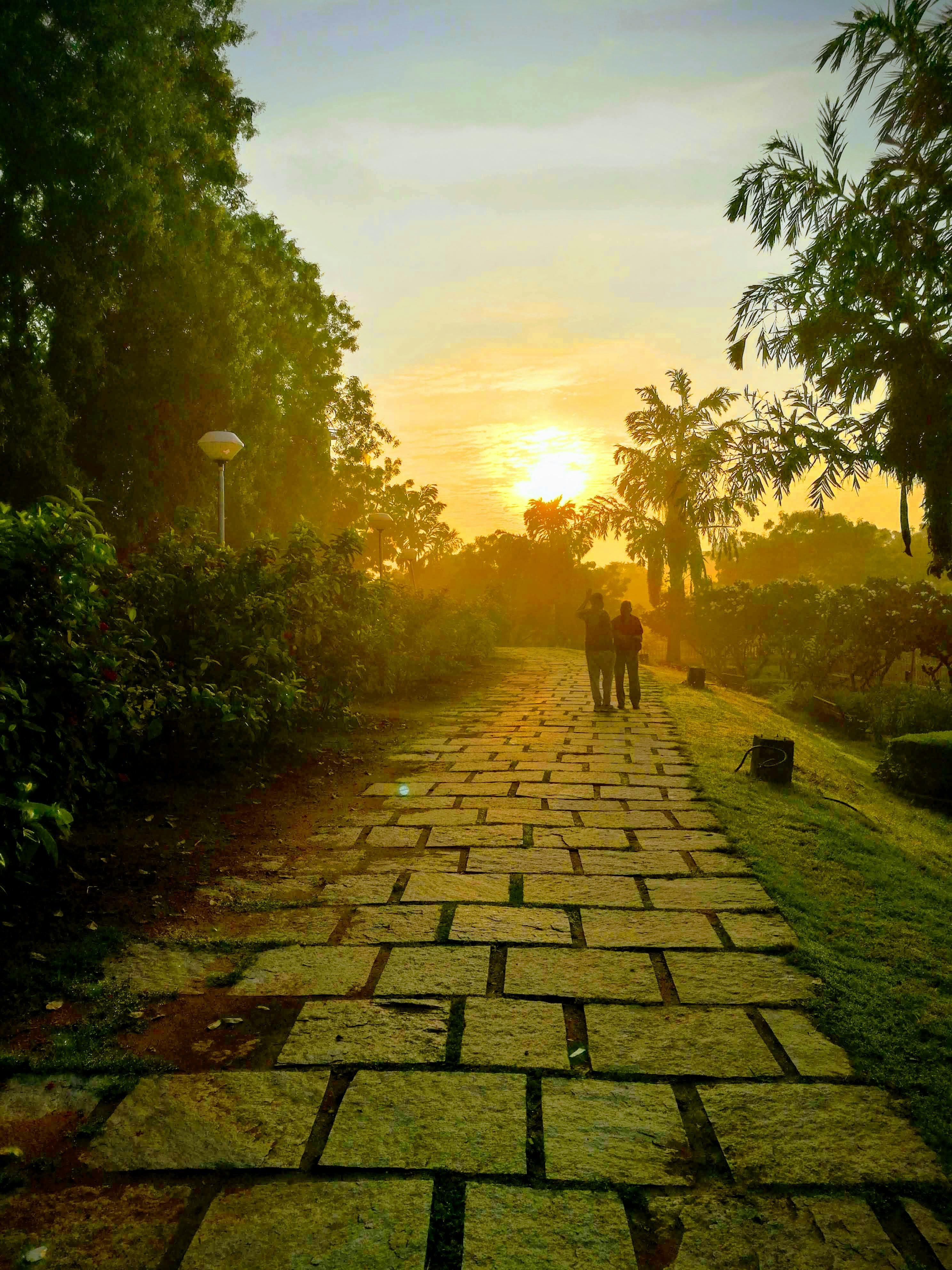 Close-up of a championship-style sports belt with gold plates