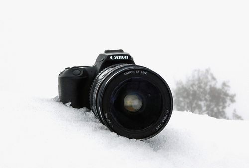 Free stock photo of 250d, camera, canon Stock Photo