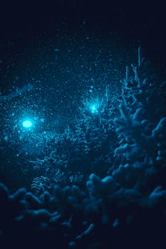 Captivating snowy night scene with conifer trees and a starry sky glowing in the winter night.