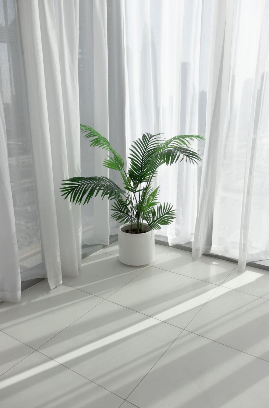 Potted palm beside sheer curtains with sunlight falling across a tiled floor — photo by Gerson Lozano on Pexels