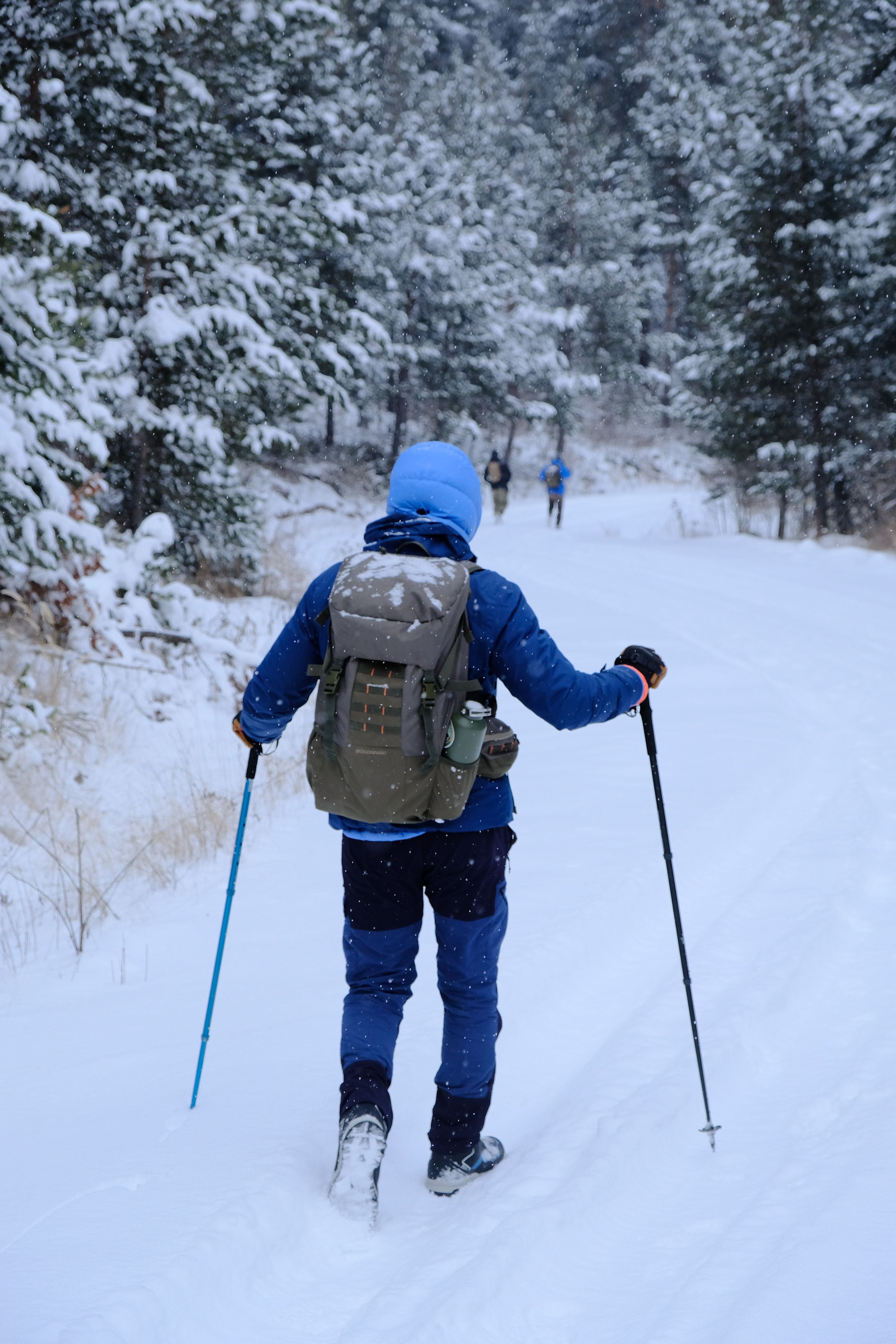 Hiking in Forest in Winter · Free Stock Photo