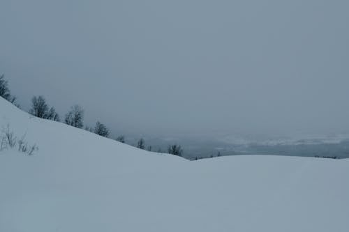 Winter Mountain Landscape