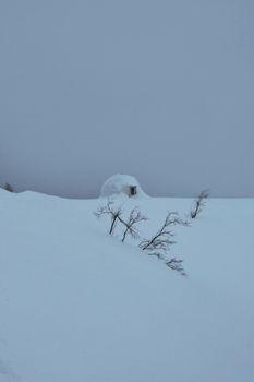 A solitary hut surrounded by snow and bare trees under a gray sky, capturing the essence of winter solitude.