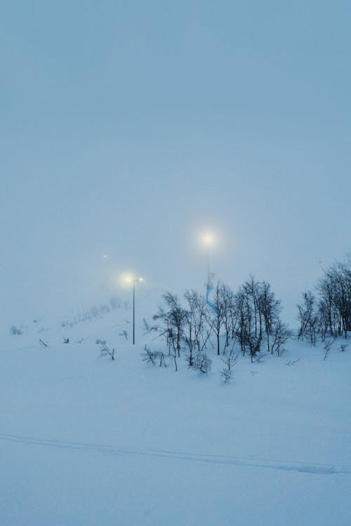 Ilmainen kuvapankkikuva tunnisteilla lumi, pystysuuntainen laukaus, talvi