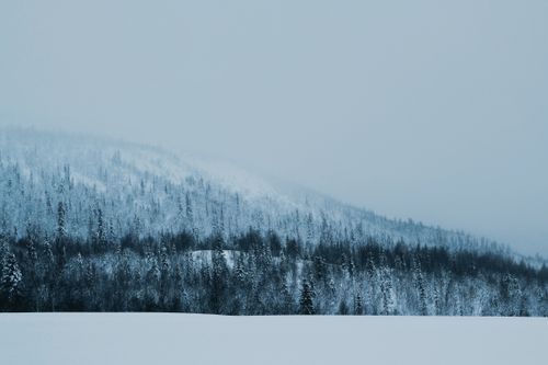 Free Serene winter landscape with snow-covered forest and mountains under a cloudy sky. Stock Photo