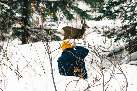 A hiker photographs a deer in the snowy woods of Waterton Park, Alberta.