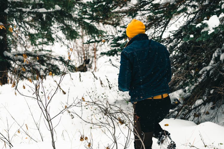 Winter Hiking: Essential Preparation for Your Adventures thumbnail