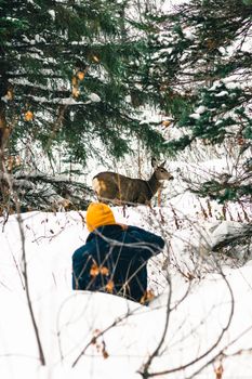 Capture of a deer and hiker in snowy Waterton Park, Canada.