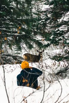 A photographer spotting a deer in the snowy forests of Waterton Park, Canada.