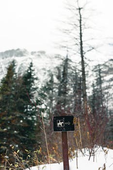 Trail sign in snowy landscape at Waterton Park, Alberta, Canada.