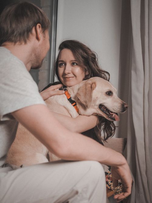 Free A joyful couple indoors, bonding with their Labrador retriever. Warm and cozy atmosphere. Stock Photo