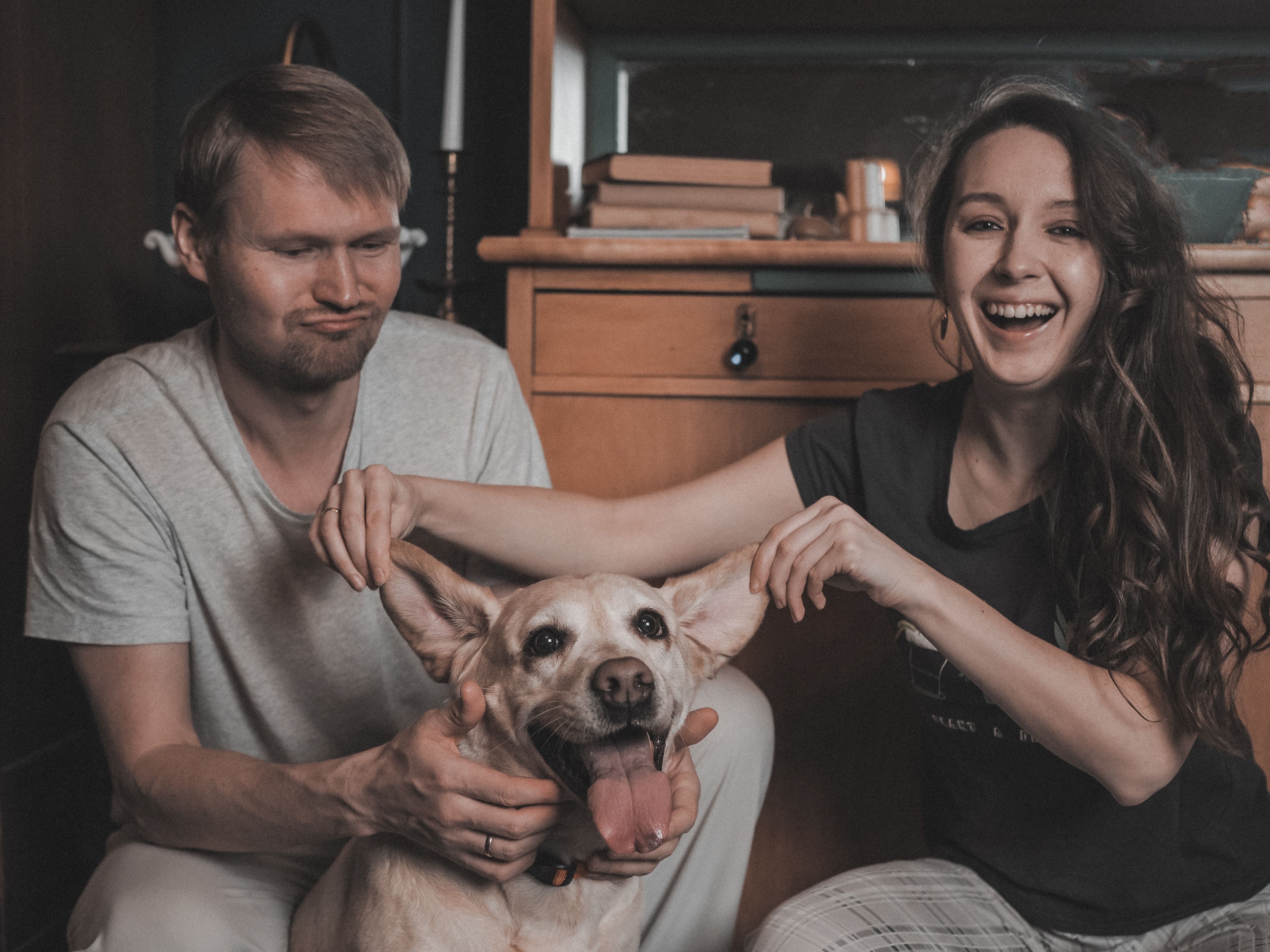 pet insurance, veterinary costs, pet health coverage, dog insurance, cat insurance, pet wellness — Photo by Maksim Veter on P