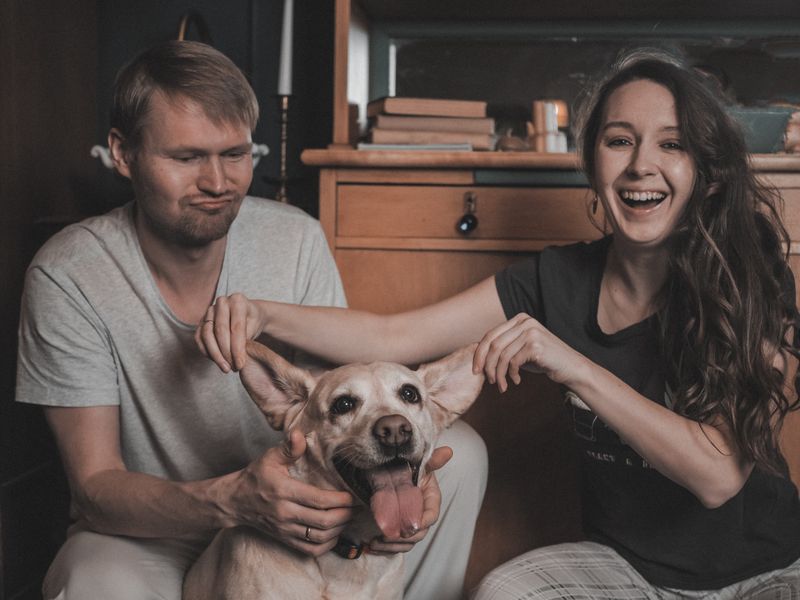 Joyful couple playing with their dog indoors at home