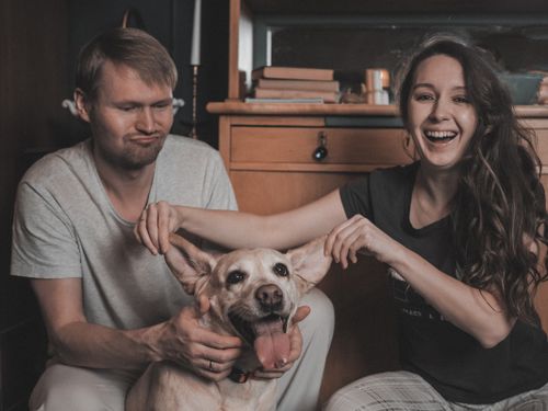 Free A joyful couple playing with their dog indoors, creating a warm and happy atmosphere. Stock Photo