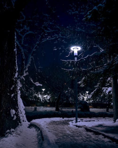 Základová fotografie zdarma na téma mrazivé počasí, noc, pěšina