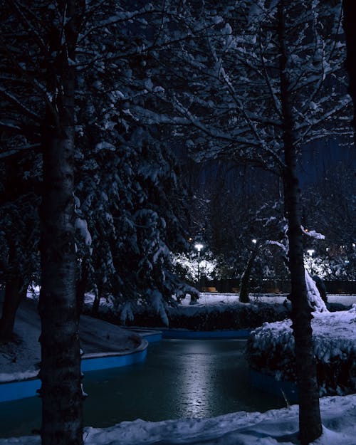 Fotobanka s bezplatnými fotkami na tému chladný, exteriéry, krajina