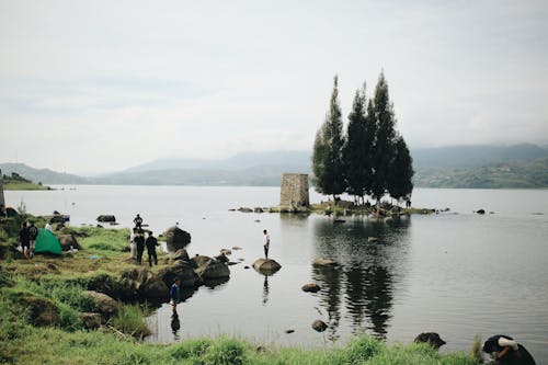 Безкоштовне стокове фото на тему «берег ріки, дерева, камені»