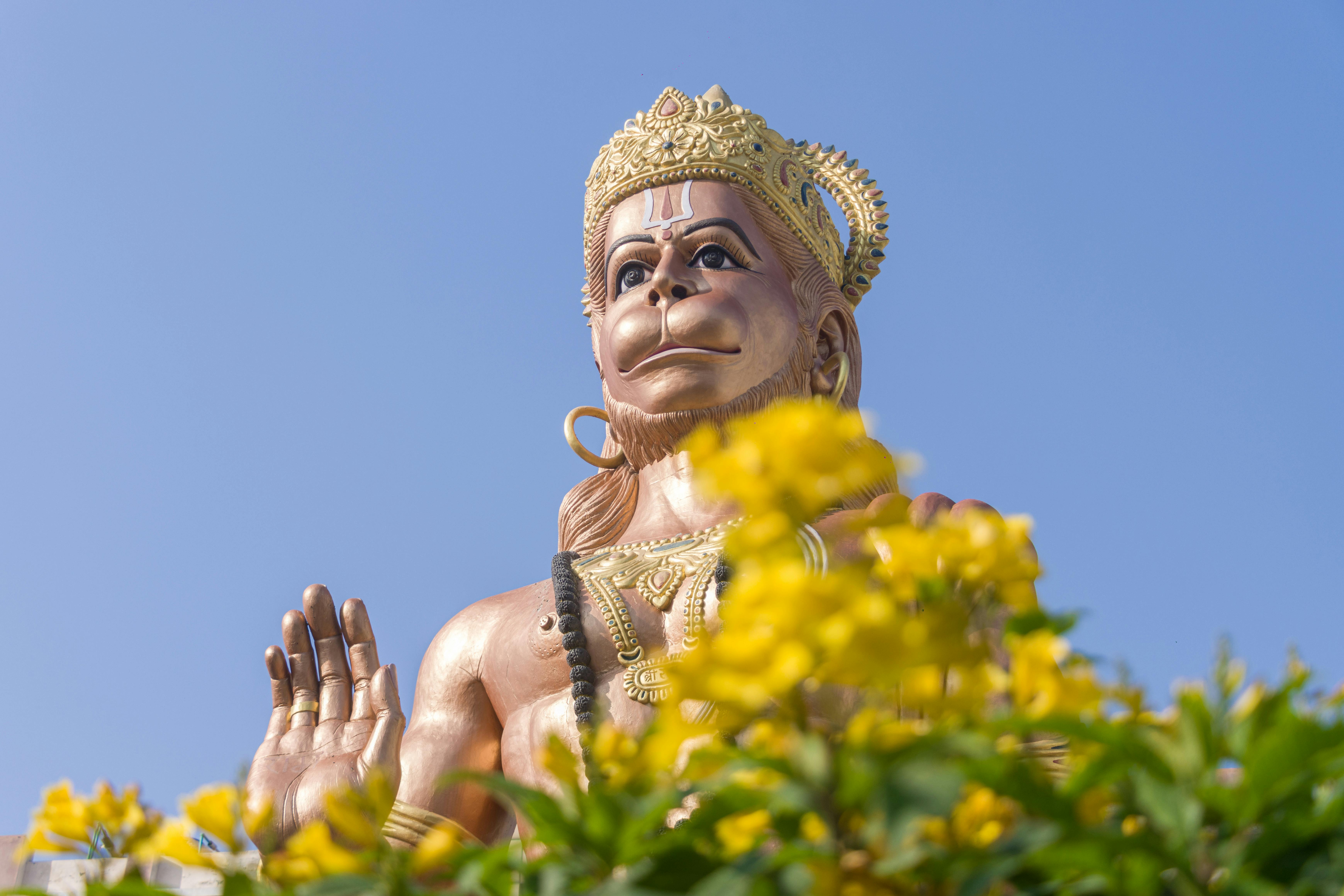 Free Hanuman Ji is also known as Pavan Putra which means the son of the wind. He is worshipped by an Uncountable number of people under Hinduism. Everyone Worships Hanuman Ji in order to treat ... Stock Photo