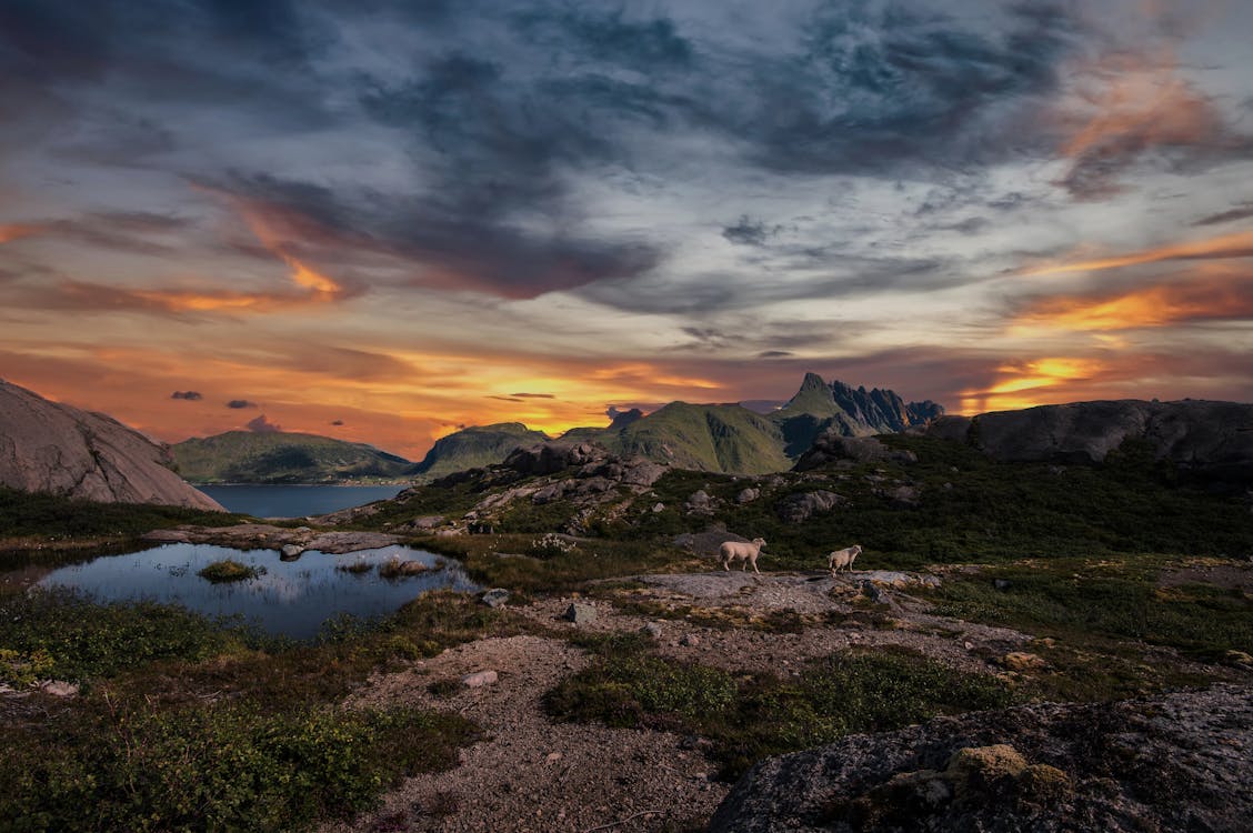 A mountain scene from Lofoten islands · Free Stock Photo
