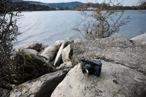 Close-up of a Camera Standing on a Stone near a Body of Water 