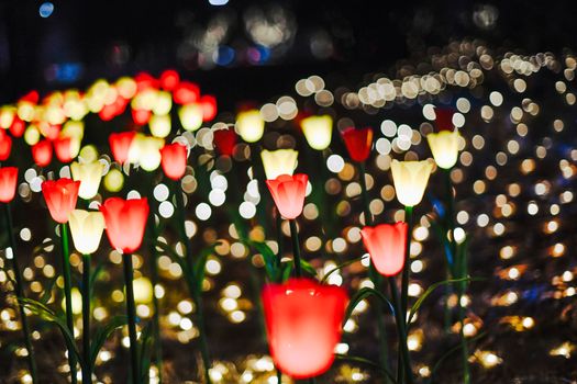 Illuminated Flowers at Night