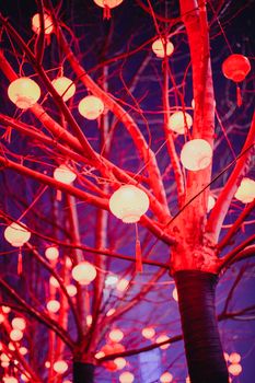 Bright red lanterns adorn trees creating a festive night atmosphere with a cultural touch.