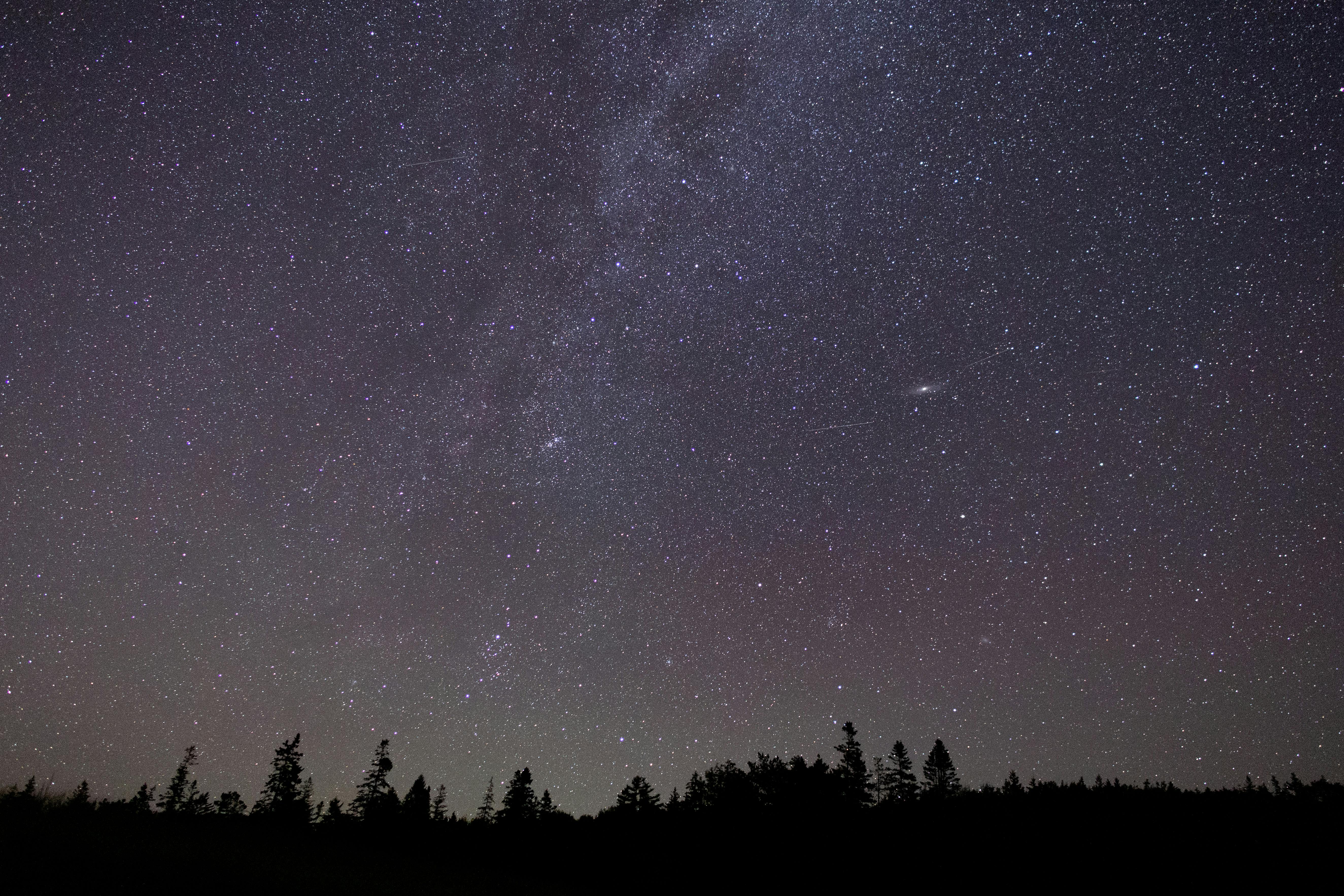 星空美丽，银河下树木的轮廓清晰可见