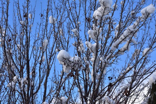 @dış mekan, açık hava, arazi içeren Ücretsiz stok fotoğraf