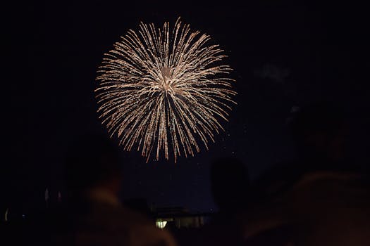 庆祝活动中，绚丽的烟花爆竹照亮了夜空，令人叹为观止