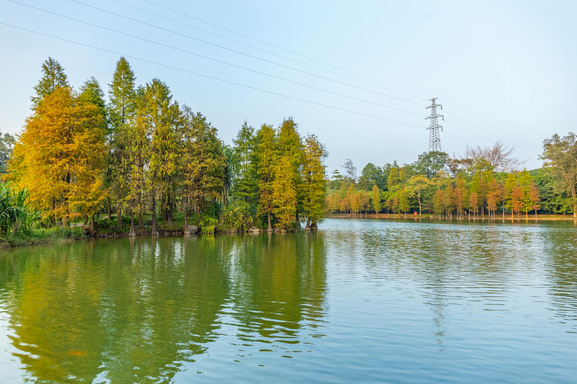 Trees Reflecting in River in Autumn