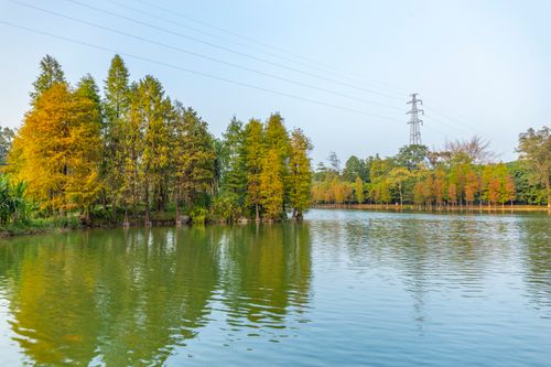 Free Serene autumn landscape featuring vibrant trees reflecting in a calm lake. Stock Photo