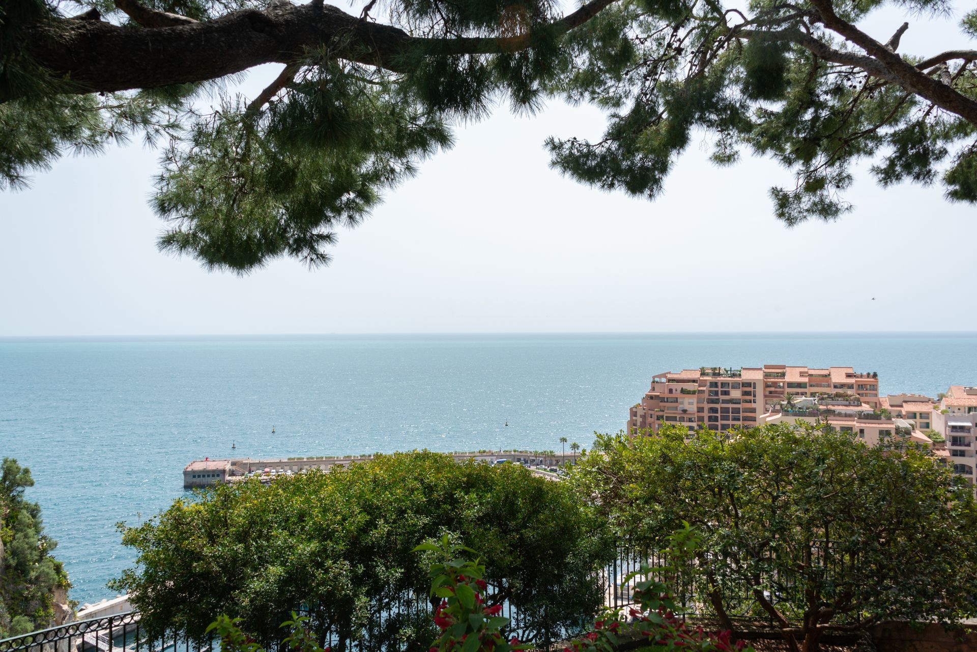 Monaco garden view over Mediterranean