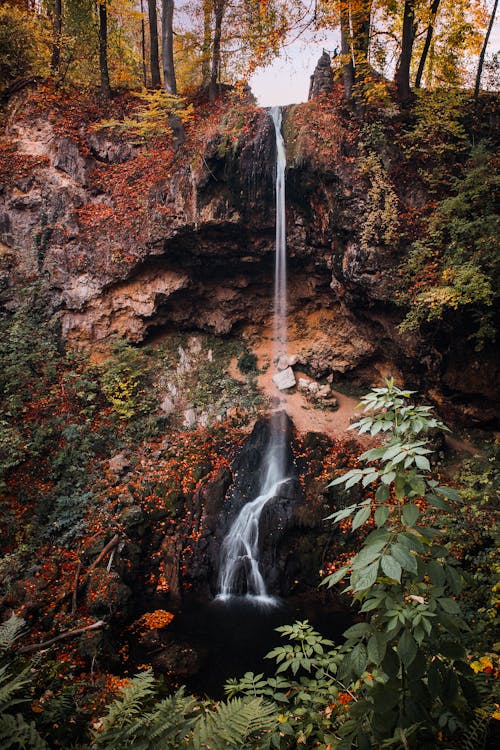 Air Terjun Di Tebing Dengan Pepohonan Saat Musim Gugur